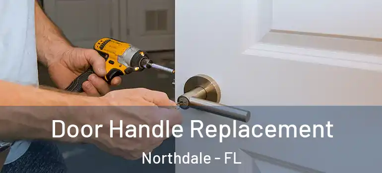  Door Handle Replacement Northdale - FL