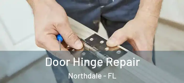  Door Hinge Repair Northdale - FL