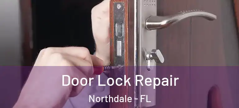 Door Lock Repair Northdale - FL