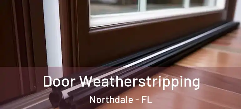  Door Weatherstripping Northdale - FL