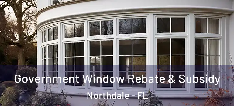  Government Window Rebate & Subsidy Northdale - FL