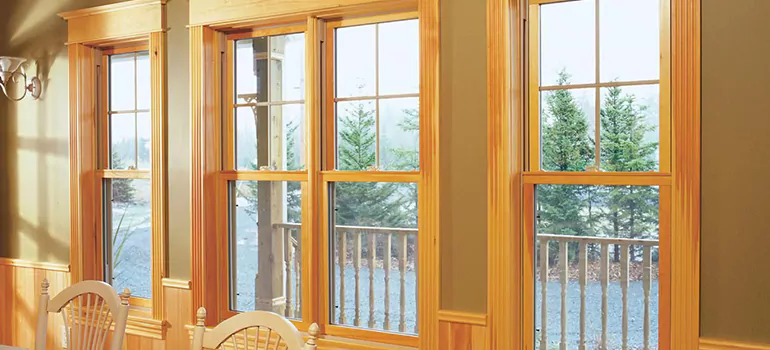 Government Incentives For Replacement Windows in Northdale, FL