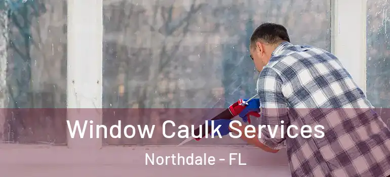  Window Caulk Services Northdale - FL
