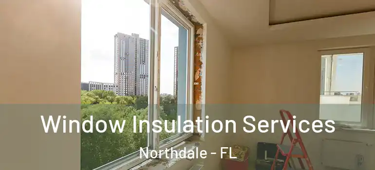  Window Insulation Services Northdale - FL